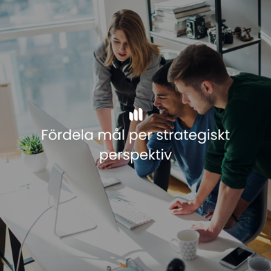 Fördela mål per strategiskt perspektiv